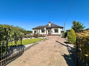 Photo 39- click for photo gallery